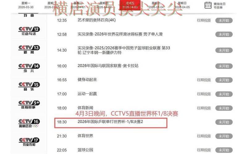 世界杯竞猜网站推荐报告：高清直播+直播与实际体验总结 - 2026世界杯